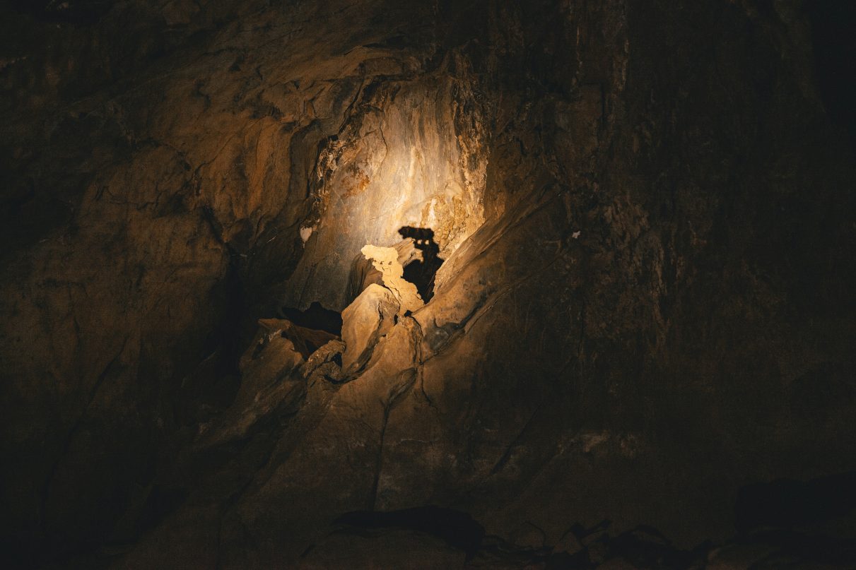 a darkly lit cave that may or may not have a bear in it